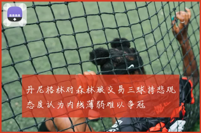 丹尼格林对森林狼交易三球持悲观态度认为内线薄弱难以争冠
